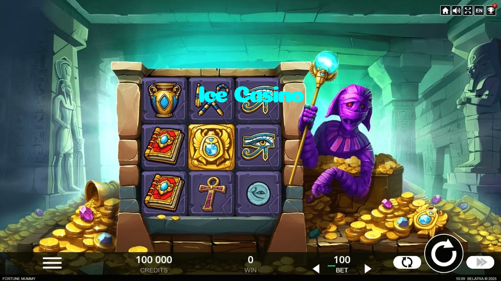 available types of Ice Casino bet including pre-match live express and system bets